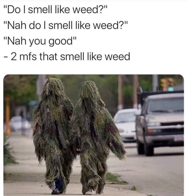 A 420 meme features two people walking down a suburban street completely covered in thick, mossy ghillie suits. The text parodies a conversation where two friends ask each other if they smell like marijuana, despite currently looking like two six-foot-tall piles of unrefined bud.