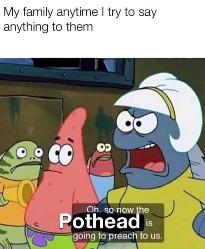 A 420 meme utilizing a screen capture from SpongeBob SquarePants shows an angry female fish shouting at a confused Patrick Star. The modified text humorously illustrates a family's defensive reaction whenever the resident stoner tries to offer any serious life advice or moral opinions.
