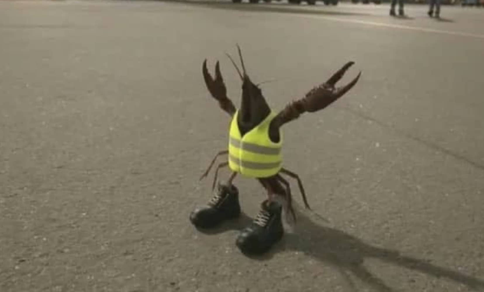 A small brown crawfish wearing a miniature high-visibility safety vest and two black work boots on pavement.