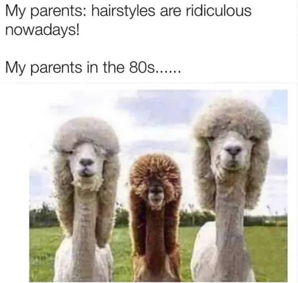 80s meme using fluffy permed alpacas to represent parents' absurdly voluminous big hair decade hairstyles.