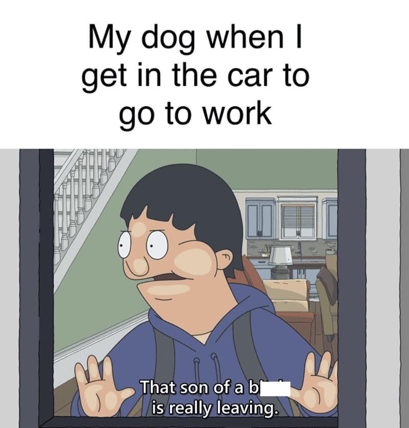 Gene Belcher presses his face and hands desperately against a glass window in this Bob's Burgers meme about separation anxiety. The text compares his dramatic look of betrayal to the way a pet dog reacts when its owner dares to leave the house for work.