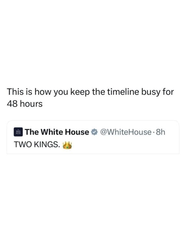 A Trump King Charles meme consisting of the text "This is how you keep the timeline busy for 48 hours" positioned above a screenshot of the official White House tweet. The tweet simply states "TWO KINGS" with a crown emoji, referencing the viral photo of the two leaders.
