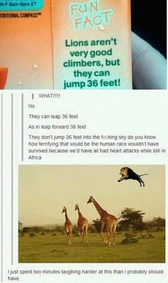 Juice box fun fact about lions jumping 36 feet paired with absurd photoshop above oblivious giraffes.