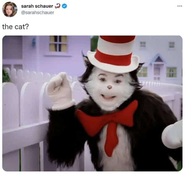 Sarah Schauer follow-up tweet asking "the cat?" paired with Mike Myers Cat in the Hat image
