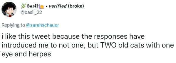 Twitter user basil jokes about discovering two separate old cats with one eye and herpes