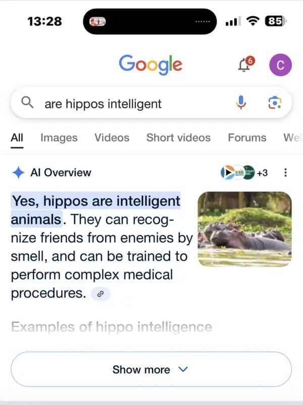 Google AI Overview claiming hippos can be trained to perform complex medical procedures on patients.