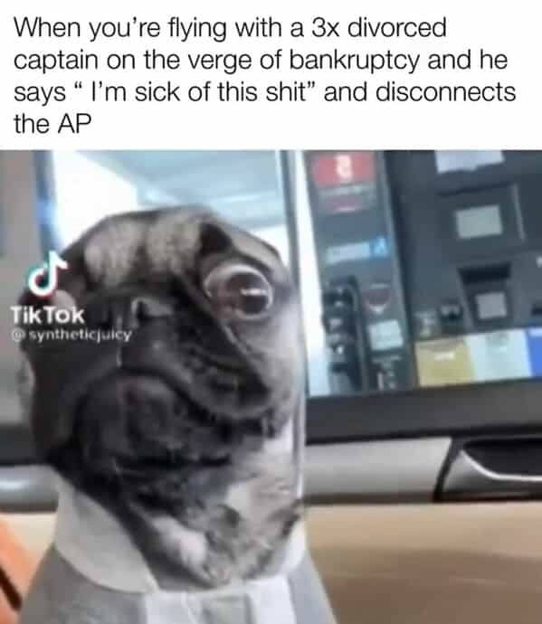 A chaotic airplane meme features a bug-eyed, terrified pug wearing a tiny shirt and tie. The text describes the horrifying moment a pilot, weary from multiple divorces and financial ruin, snaps and announces he’s "sick of this" while disconnecting the autopilot.