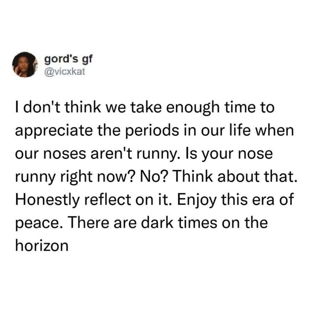 Funny tweet urging people to appreciate and cherish the peaceful times when their nose isn't runny