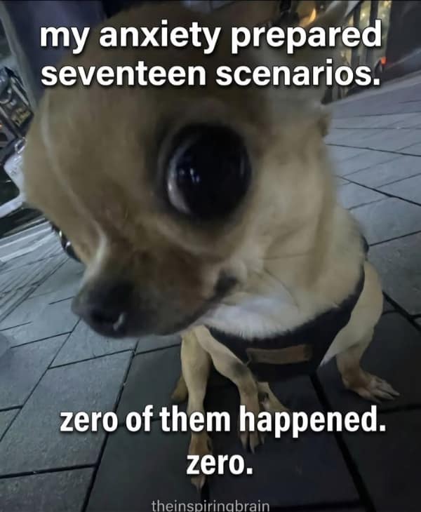A frantic anxiety meme using a high-angle close-up of a tiny, bug-eyed chihuahua looking terrified. The text laments the exhaustion of overthinking: "my anxiety prepared seventeen scenarios. zero of them happened. zero."