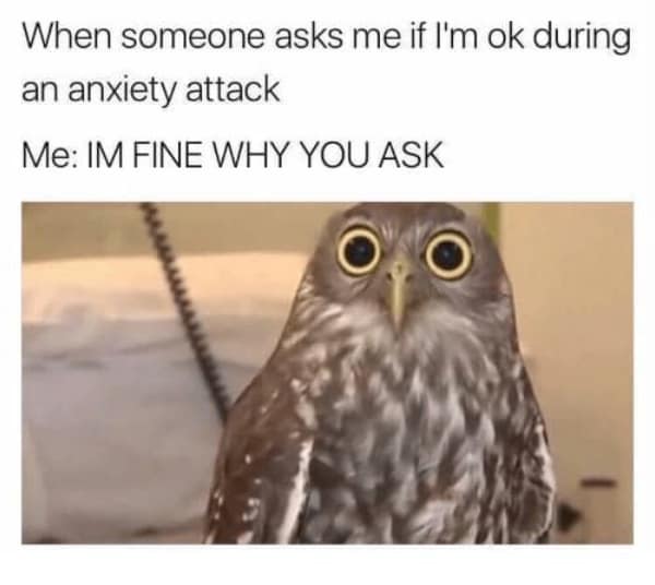 A high-tension anxiety meme featuring a close-up of a wide-eyed, startled-looking owl. The text reads: "When someone asks me if I'm ok during an anxiety attack. Me: IM FINE WHY YOU ASK."