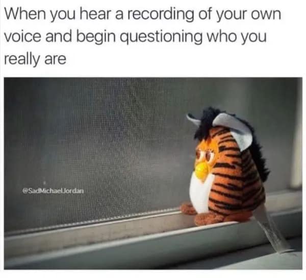 An awkward meme featuring a tiger-striped Furby sitting alone on a windowsill, staring blankly out the window. The caption captures the existential crisis of modern technology: "When you hear a recording of your own voice and begin questioning who you really are."