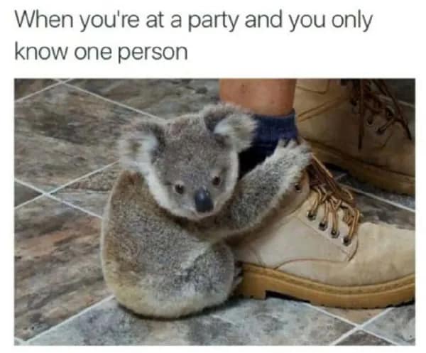 A wholesome but awkward meme featuring a tiny baby koala clinging for dear life to a person’s work boot. The caption perfectly summarizes the introverted experience: "When you're at a party and you only know one person."