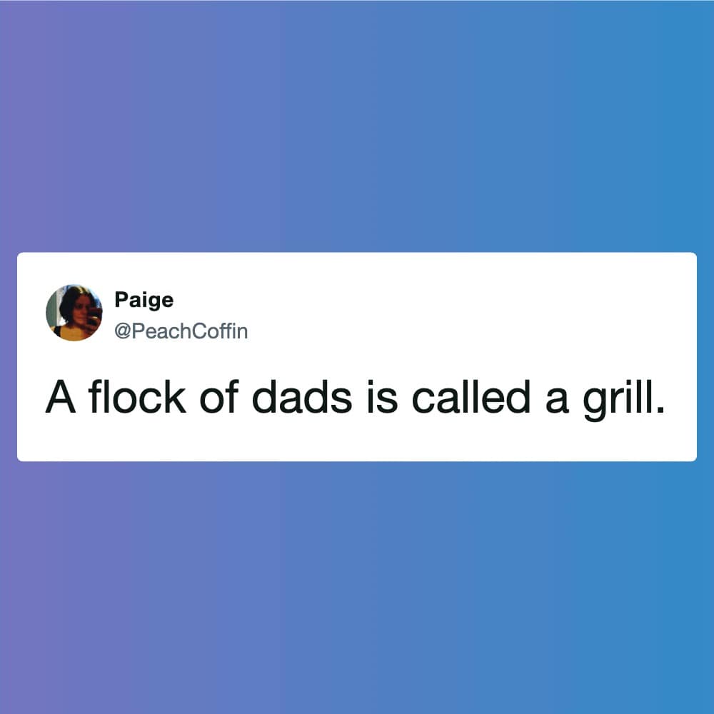 A minimalist grilling meme tweet from user Paige. Set against a soft blue and purple gradient, the text provides a new scientific classification for suburban social groups: "A flock of dads is called a grill."