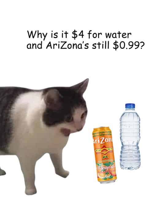 Meme pairing confused cat with question about why bottled water costs $4 while Arizona tea stays 99 cents.