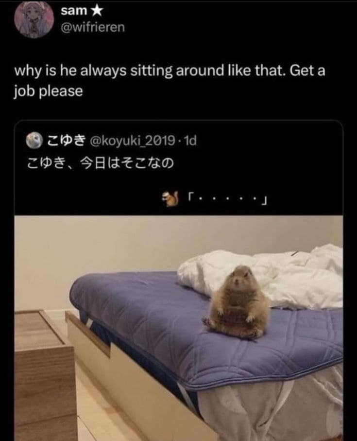 A hilarious classic meme of a chunky prairie dog sitting upright on a bed, looking like it’s contemplating the heavy weight of existence. The user’s comment asks why it’s always sitting like that and demands it "Get a job please."