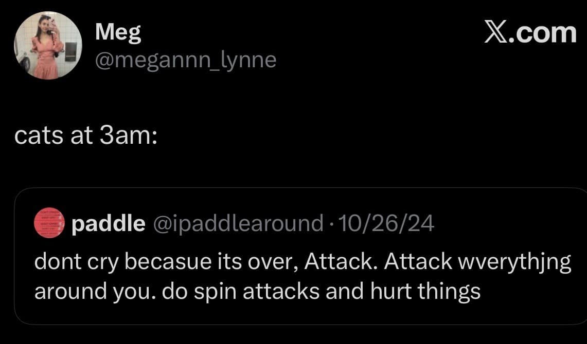 A chaotic old meme tweet from Meg describing "cats at 3am." The quoted text encourages the feline to ignore sadness and instead "Attack wverythjng around you. do spin attacks and hurt things."