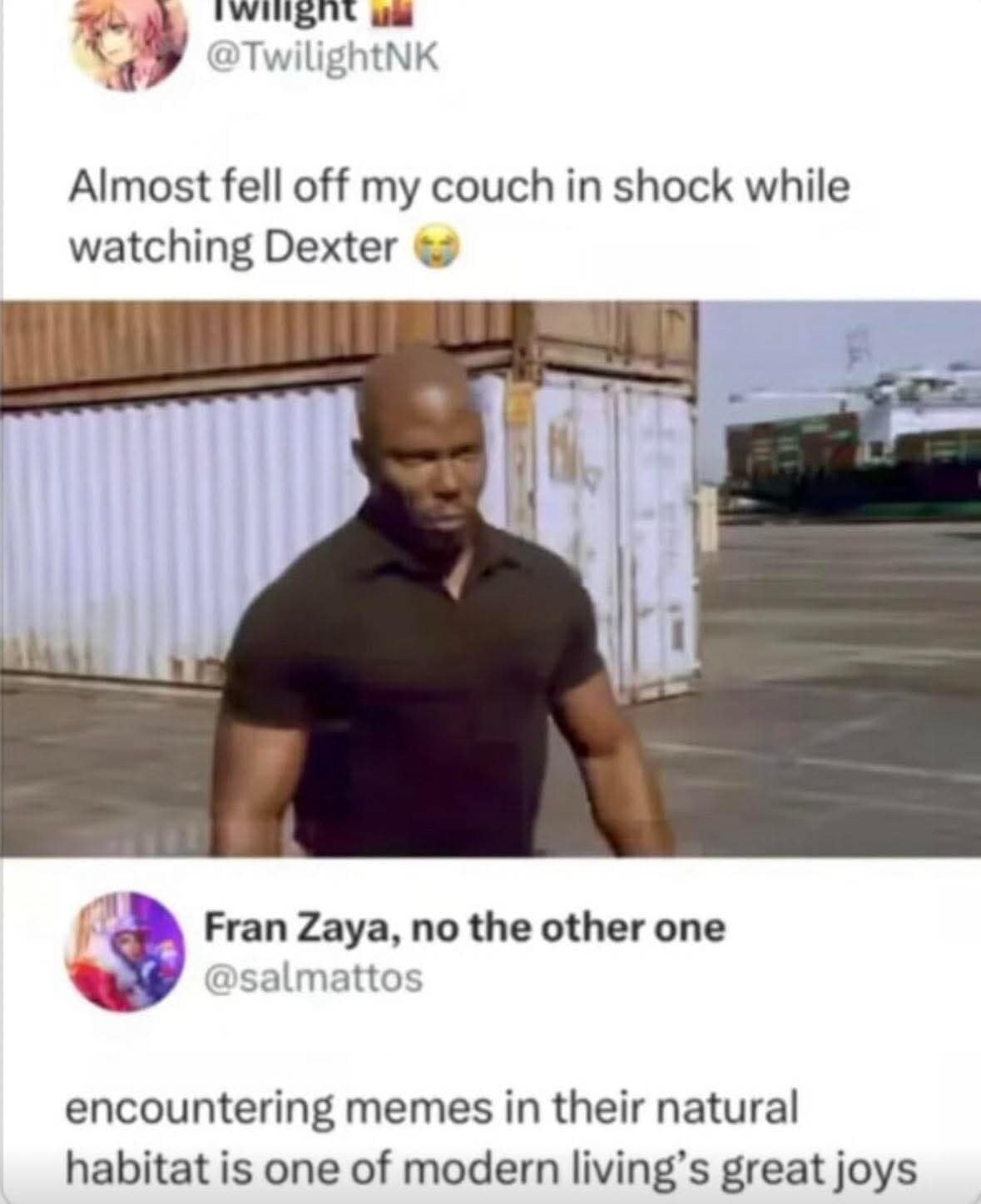 A meta classic meme screenshot. A user shares a still of Sgt. James Doakes from the show Dexter as he walks through a shipping yard. The reply notes that "encountering memes in their natural habitat is one of modern living’s great joys," referencing the "Surprise, Motherf***er" template origin.