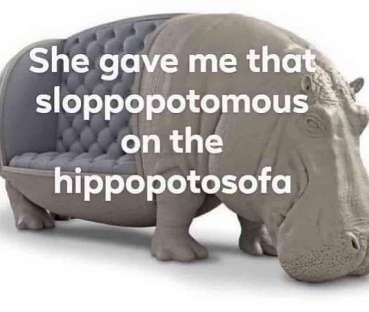 A bizarre and wordplay-heavy classic meme featuring a CGI rendering of a hippopotamus that is also a grey, tufted leather sofa. The text overlay reads: "She gave me that sloppopotomous on the hippopotosofa," merging furniture design with unhinged slang.