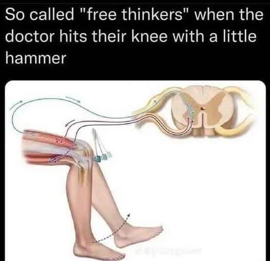 satirical classic meme featuring a medical diagram of the patellar reflex (knee-jerk reaction). It shows a sensory signal traveling to the spinal cord and a motor signal returning to the leg, captioned: "So called 'free thinkers' when the doctor hits their knee with a little hammer."