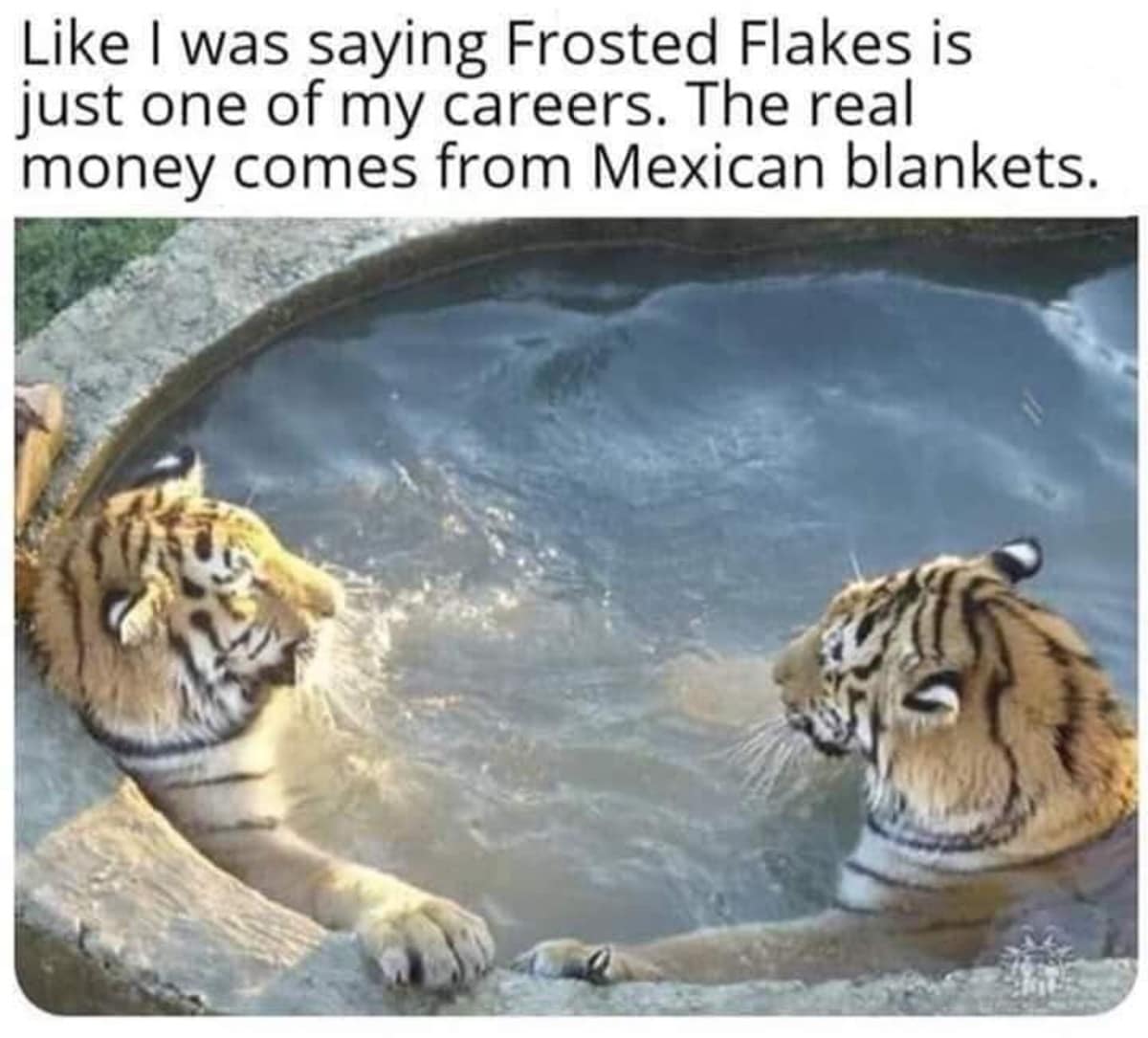 classic meme featuring two tigers relaxing in a circular stone pool. The text joke suggests a lucrative side hustle: "Frosted Flakes is just one of my careers. The real money comes from Mexican blankets," referencing the popular home decor item often featuring tiger prints.