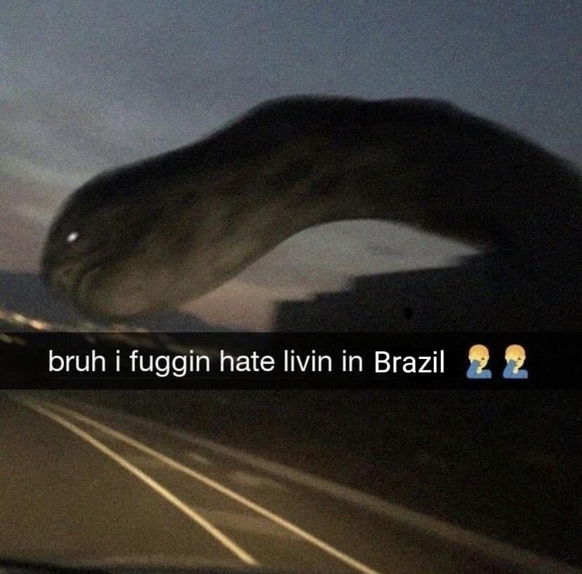 A "cursed" classic meme featuring a blurry, low-light photo of a gargantuan, dark serpent-like monster looming over a highway at night. The caption reads: "bruh i fuggin hate livin in Brazil 🤦‍♂️🤦‍♂️," playing on the "only in [location]" cryptid trope.
