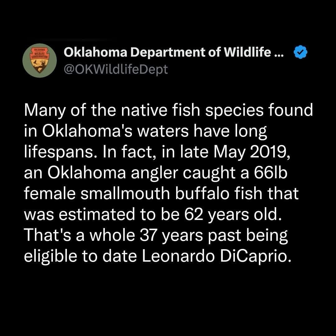 A screenshot of a viral tweet from the Oklahoma Department of Wildlife. After explaining that a female buffalo fish lived to be 62 years old, the account adds a classic meme roast: "That's a whole 37 years past being eligible to date Leonardo DiCaprio."