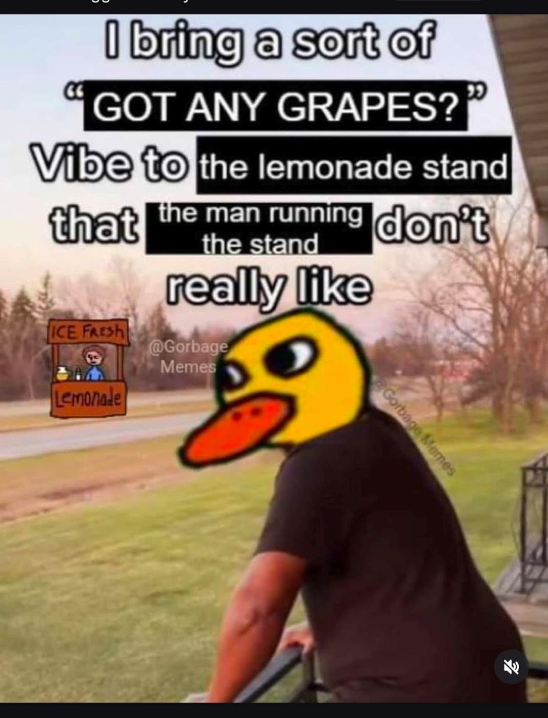 A surreal classic meme referencing the legendary "Duck Song." It features a photo of a man’s torso with the yellow cartoon duck head superimposed. The text reads: "I bring a sort of 'GOT ANY GRAPES?' Vibe to the lemonade stand that the man running the stand don't really like."