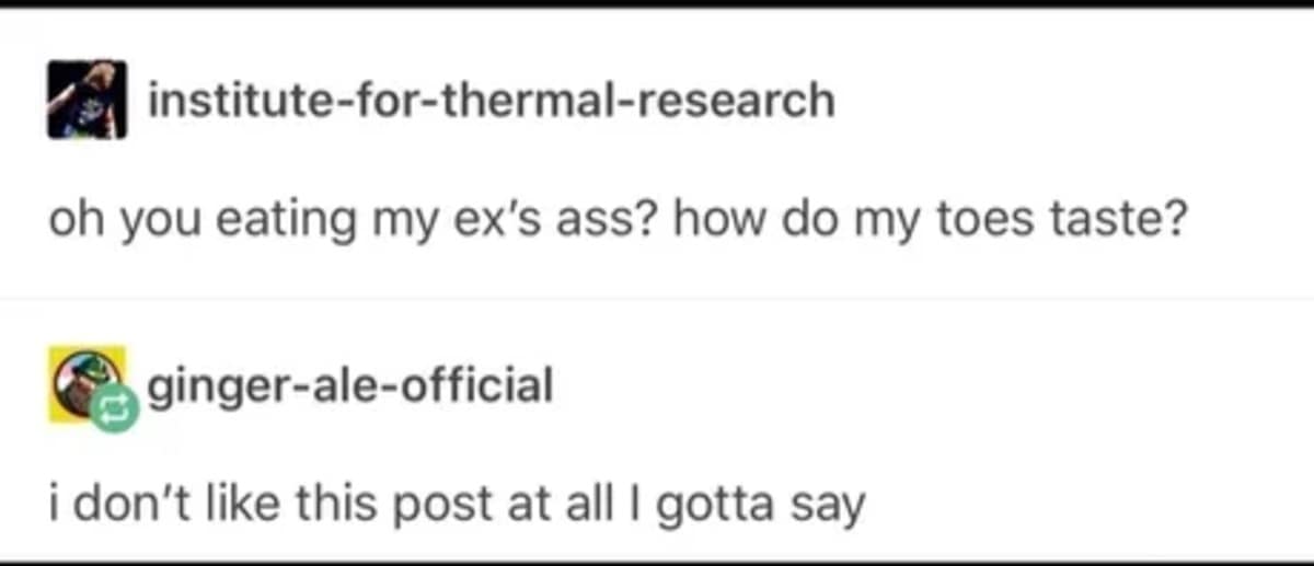 A chaotic old meme screenshot from Tumblr. User institute-for-thermal-research makes a gross-out "toes" comeback regarding an ex, while ginger-ale-official replies, "i don't like this post at all I gotta say."