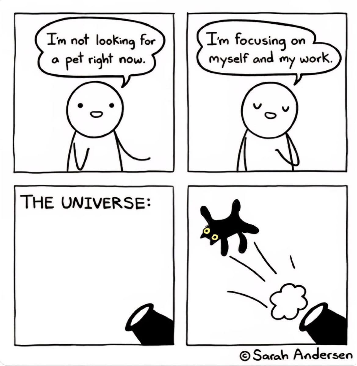 A four-panel comic by Sarah Andersen depicting the "Cat Distribution System." A character resolves to focus on work and not get a pet, only for the universe to fire a wide-eyed black cat out of a cannon directly into their life.