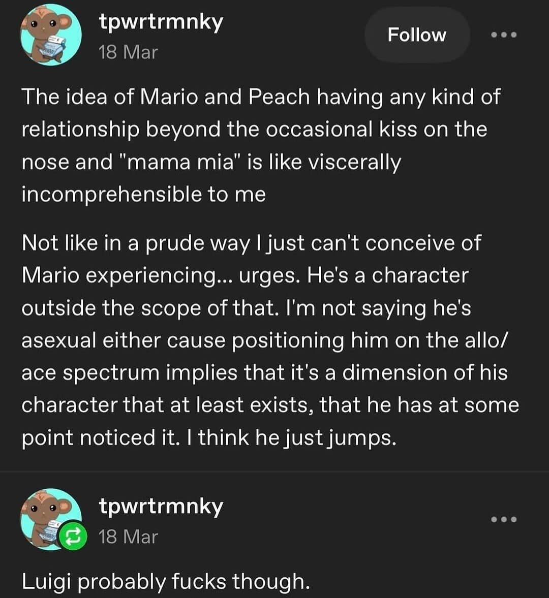 text-heavy classic meme from Tumblr by tpwrtrmnky discussing the "visceral incomprehensibility" of Mario having a romantic relationship. The user argues that Mario is a character who simply "jumps" and exists outside the scope of human urges, concluding with the contrast: "Luigi probably fucks though."