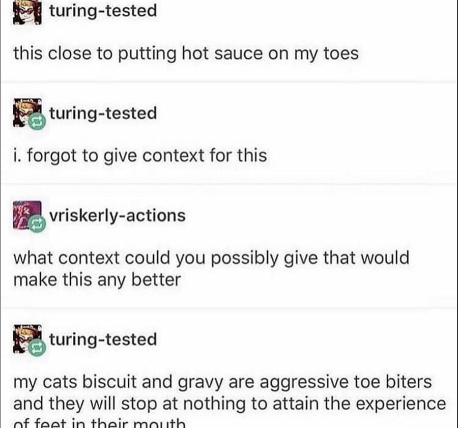 Tumblr post from turing-tested providing context for an alarming status update. After stating they are close to putting hot sauce on their toes, they explain it is a deterrent because their cats, Biscuit and Gravy, are "aggressive toe biters."
