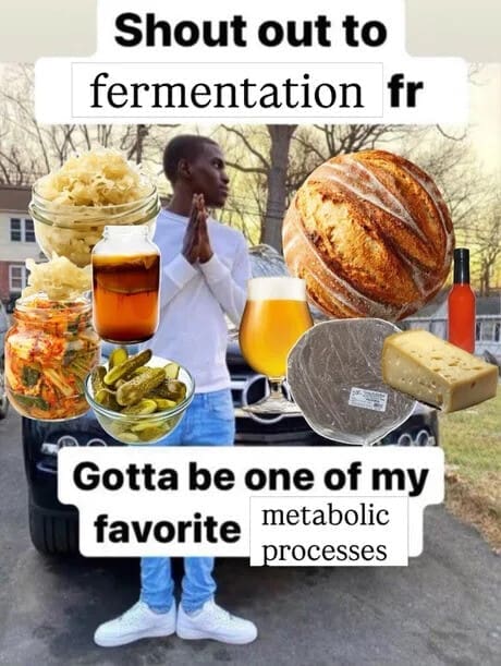 niche-appreciation classic meme featuring a man standing in a driveway with his hands in prayer, surrounded by a collage of fermented items: kimchi, pickles, kombucha, beer, sourdough bread, and cheese. It’s captioned: "Shout out to fermentation fr. Gotta be one of my favorite metabolic processes."