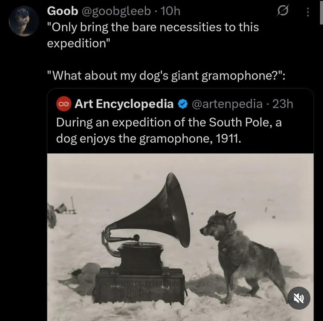classic meme tweet from @goobgleeb featuring a real 1911 photo from a South Pole expedition. A sled dog stands in the snow, head tilted curiously toward the horn of a giant gramophone, mocking the concept of "packing light."
