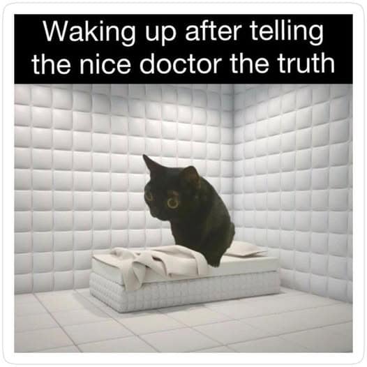 A dark humor classic meme featuring a wide-eyed black cat sitting on a tiny cot inside a white, padded asylum cell. The caption reads: "Waking up after telling the nice doctor the truth," referencing the consequences of oversharing during a mental health check.