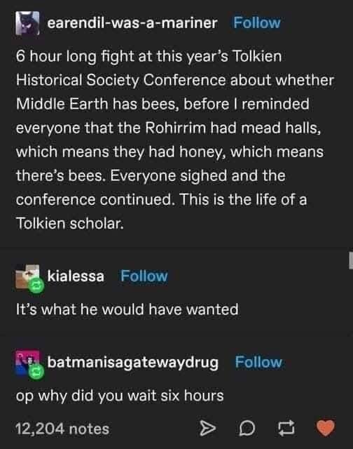 A quintessential classic meme from Tumblr about the pedantry of the Tolkien Historical Society. The user describes a six-hour argument about whether bees exist in Middle Earth, which was only settled when someone pointed out that mead halls imply honey, and honey implies bees.