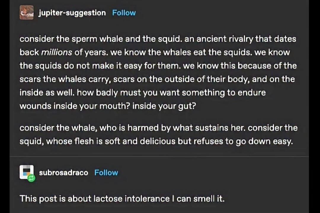 classic meme featuring a Tumblr musing about the "ancient rivalry" between sperm whales and squids and the internal scars whales carry. A second user, subrosadraco, cuts through the poetry by stating, "This post is about lactose intolerance I can smell it."