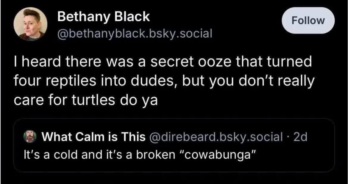 classic meme parodying Leonard Cohen's "Hallelujah." The rewritten lyrics describe the origin of the Teenage Mutant Ninja Turtles: "I heard there was a secret ooze... but you don't really care for turtles do ya," ending with, "It’s a cold and it’s a broken 'cowabunga'."