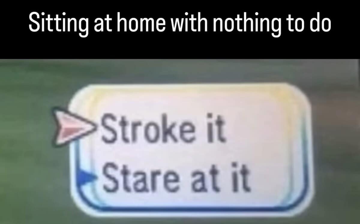 An old meme featuring a blurry, low-resolution video game interaction prompt with two choices: "Stroke it" or "Stare at it." The overlay text says: "Sitting at home with nothing to do."