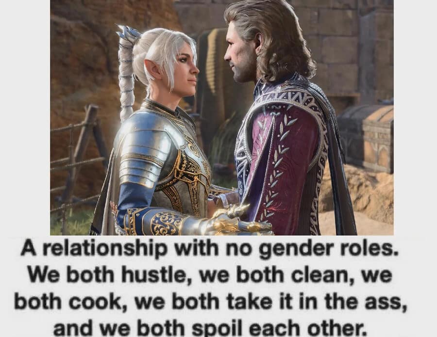 A classic meme using Baldur's Gate 3 characters Gale and Shadowheart to describe a relationship with "no gender roles." The text subverts traditional expectations by listing a series of chores and intimate preferences that both partners share equally.