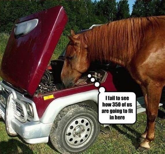 A literal-minded classic meme featuring a brown horse sticking its entire head into the open hood of a red SUV, appearing to inspect the engine. A thought bubble coming from the horse reads: "I fail to see how 350 of us are going to fit in here," mocking the concept of "horsepower."