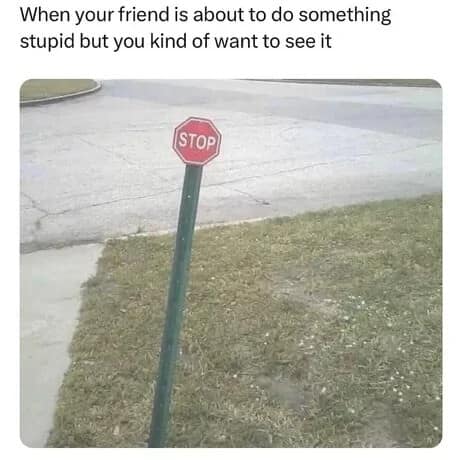 classic meme showing a photo of a stop sign on a metal pole that is leaning heavily to one side. The overlay text reads: "When your friend is about to do something stupid but you kind of want to see it."