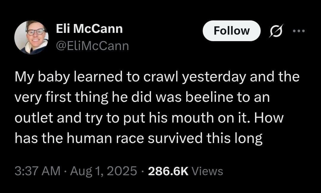 A relatable classic meme tweet from Eli McCann about the sheer audacity of infants. He notes that his baby learned to crawl and immediately made a "beeline" to put his mouth on a power outlet, leading to the existential question: "How has the human race survived this long?"