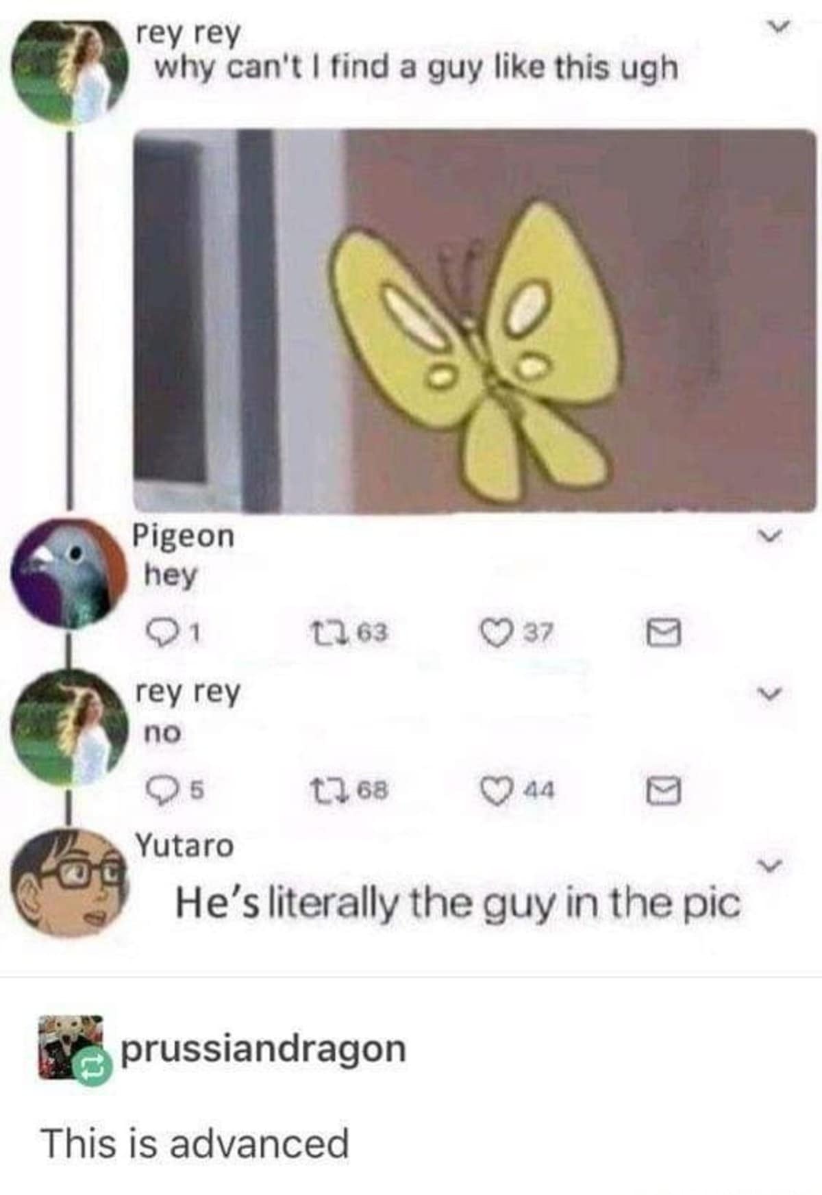 An "advanced" classic meme interaction that layers multiple internet references. A girl posts the butterfly from the "Is this a pigeon?" meme asking where to find a guy like that. A user named Pigeon says "hey," and when she rejects him, a third user points out, "He’s literally the guy in the pic."