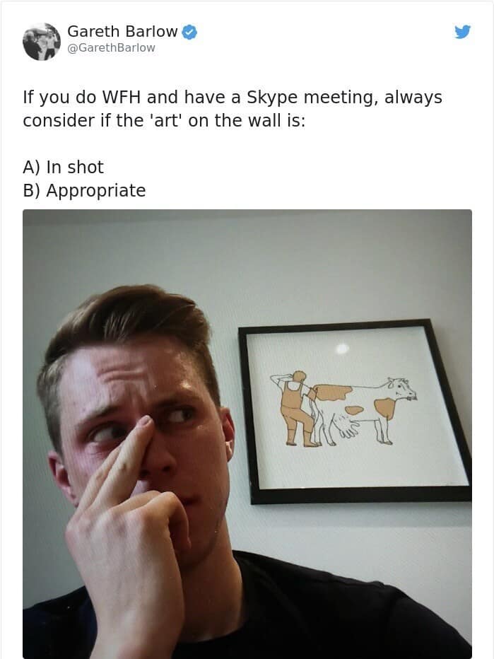 old meme about the Work From Home (WFH) era. Gareth Barlow advises Skype meeting participants to check their background art; he illustrates this with a photo of a man on a call with a framed line drawing of a farmer performing a very "thorough" medical check on a cow's backside.