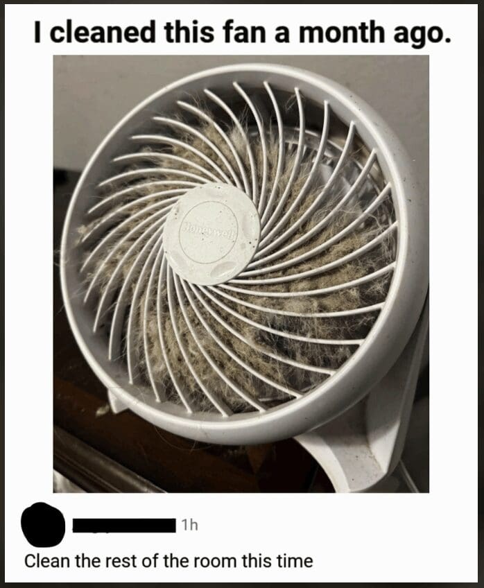 A hilarious classic meme showing a white Honeywell desk fan completely choked with thick, hairy layers of grey dust. A savage comment at the bottom reads: "Clean the rest of the room this time."