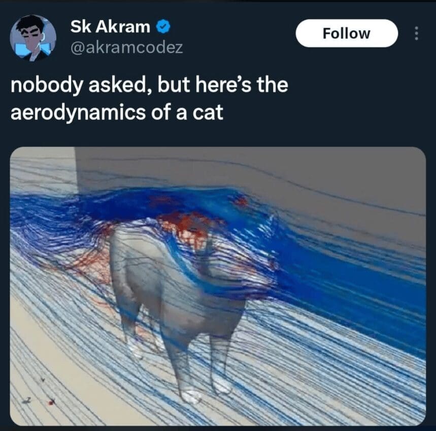 A viral internet meme screenshot of a tweet by Sk Akram showing a scientific 3D aerodynamic simulation of a domestic cat. The feline is covered in blue and red airflow lines, captioned with the deadpan statement: "nobody asked, but here’s the aerodynamics of a cat."