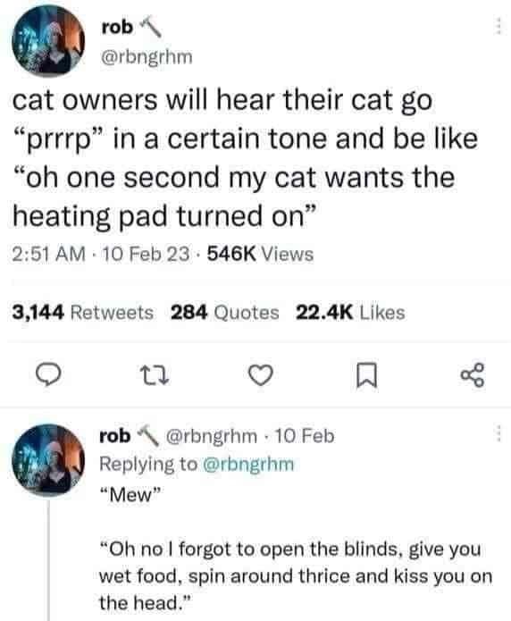 A hilarious classic meme thread about the psychic connection between cat owners and their pets. It mocks how owners translate a simple "Mew" into a complex list of demands involving wet food, opening blinds, and ritualistic head kisses.