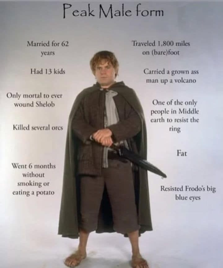 A classic meme hailing Samwise Gamgee as the "Peak Male form." The image lists his legendary Lord of the Rings stats, including carrying a grown man up a volcano, resisting the One Ring, and going six months without eating a single potato.