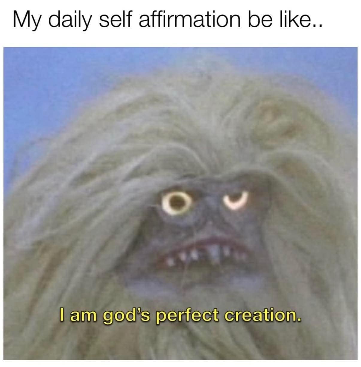 A classic meme featuring a grainy, close-up image of the creature Ludo from the film Labyrinth. He has a wide, vacant stare and messy, fur-covered features. Yellow subtitle-style text at the bottom reads: "I am god’s perfect creation."