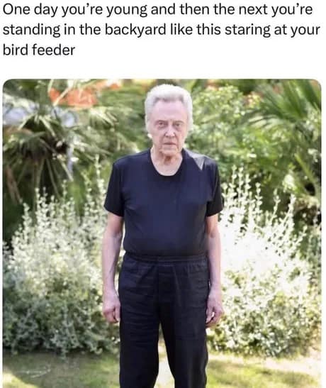 classic meme featuring actor Christopher Walken standing stiffly and stoically in a sunny backyard. The caption describes the jarring transition of aging: "One day you’re young and then the next you’re standing in the backyard like this staring at your bird feeder."